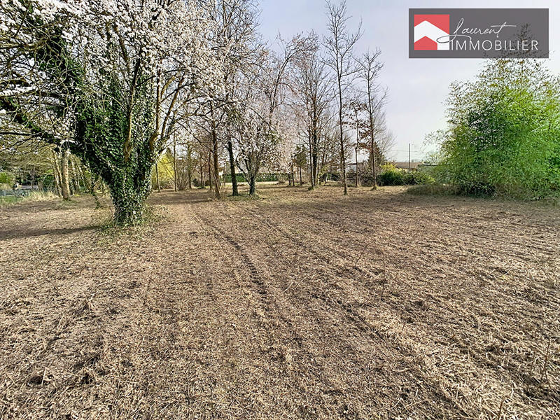 Terrain - 2 255 m²