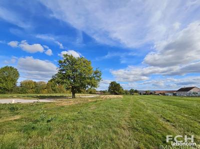 Terrain constructible - 1 003 m²