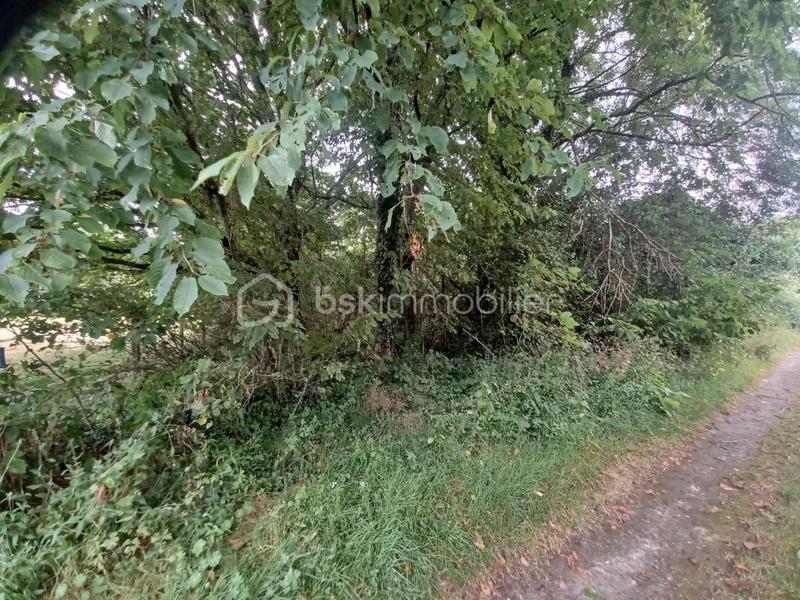 Terrain de loisirs - 7 000 m²