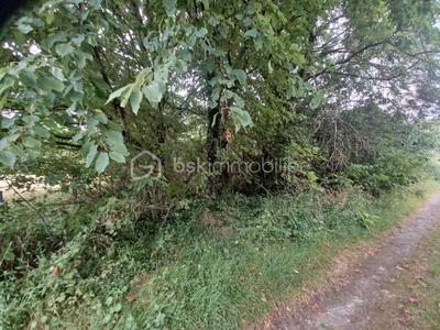 Terrain de loisirs - 7 000 m²