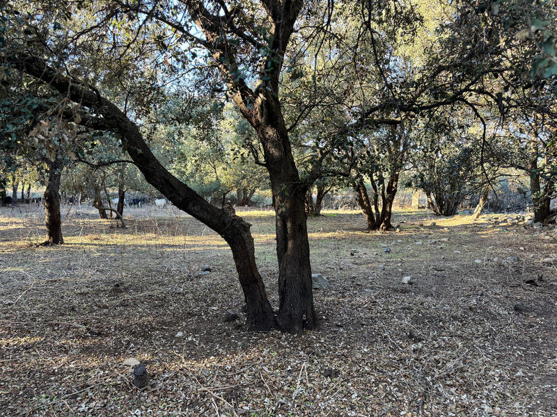 Propriété - 201 m² - 4 pièces