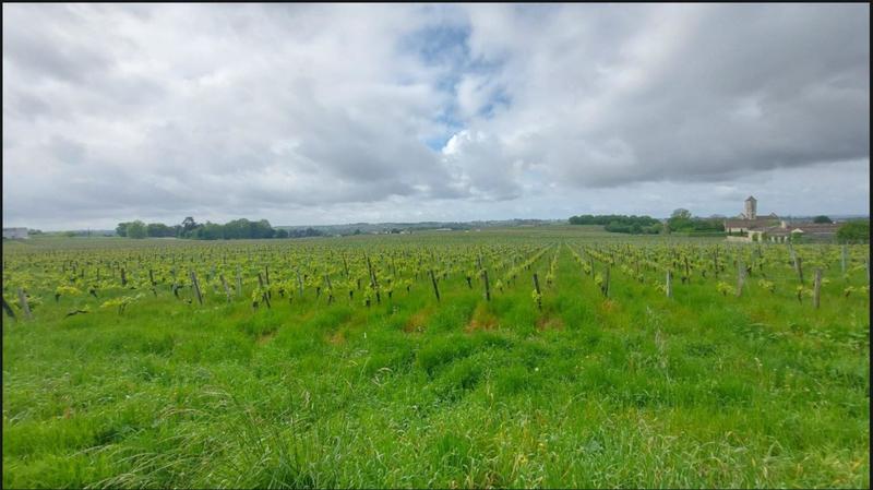 Maison - 250 m² - 7 pièces