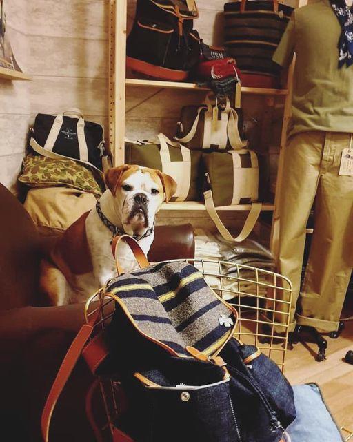 In Memories Sportwear