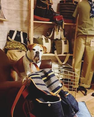 In Memories Sportwear