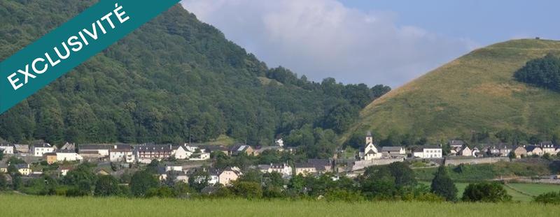 Terrain agricole - 2 919 m²