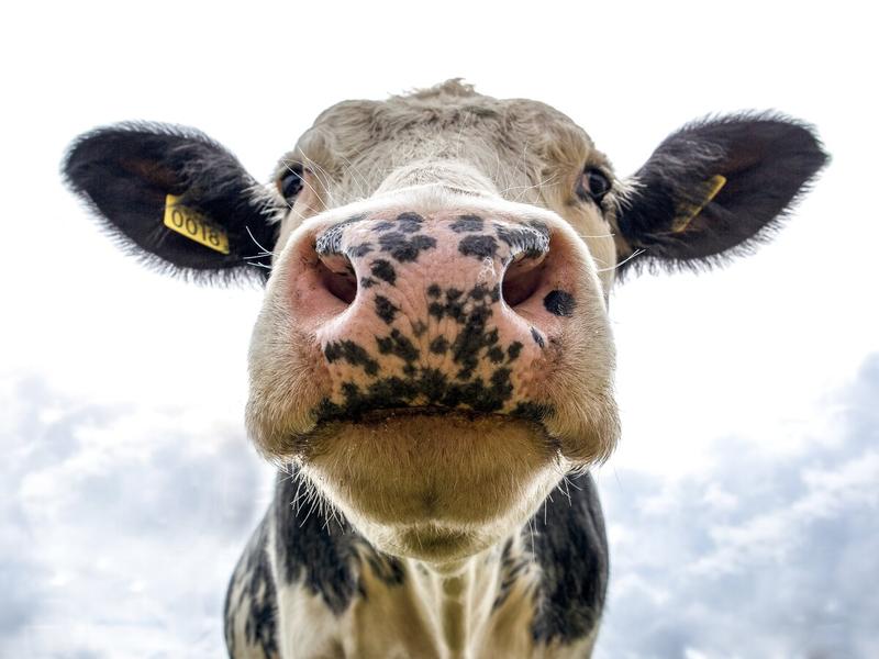 Portes ouvertes Campus Métiers Nature