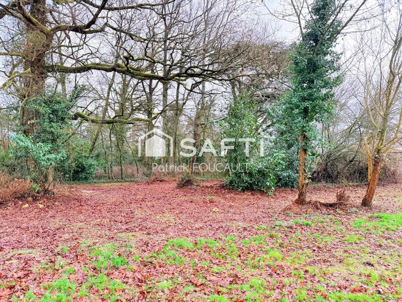 Terrain - 11 077 m²