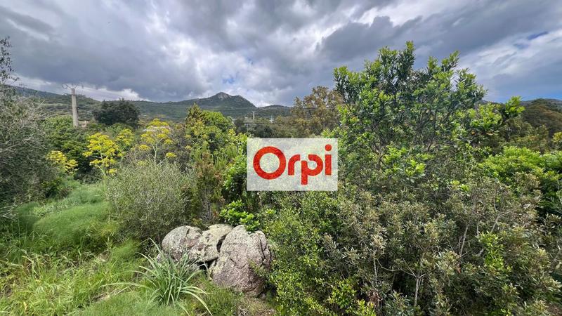 Terrain constructible - 1 764 m²