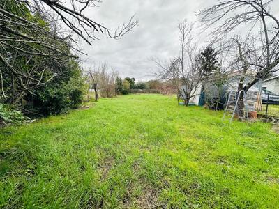 Terrain - 1 320 m²