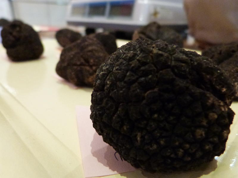 Marché aux truffes fraîches et contrôlées