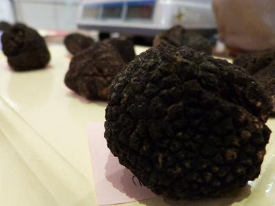 Marché aux truffes fraîches et contrôlées