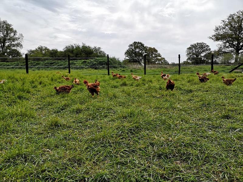 La Ferme Biologique du Grand Bois