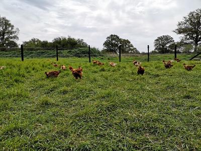 La Ferme Biologique du Grand Bois