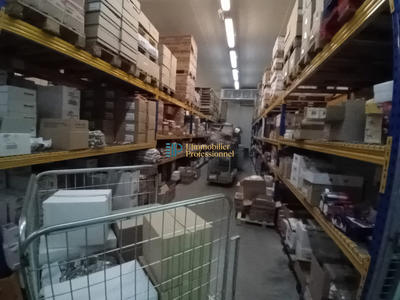 Local d'activités - 355 m²