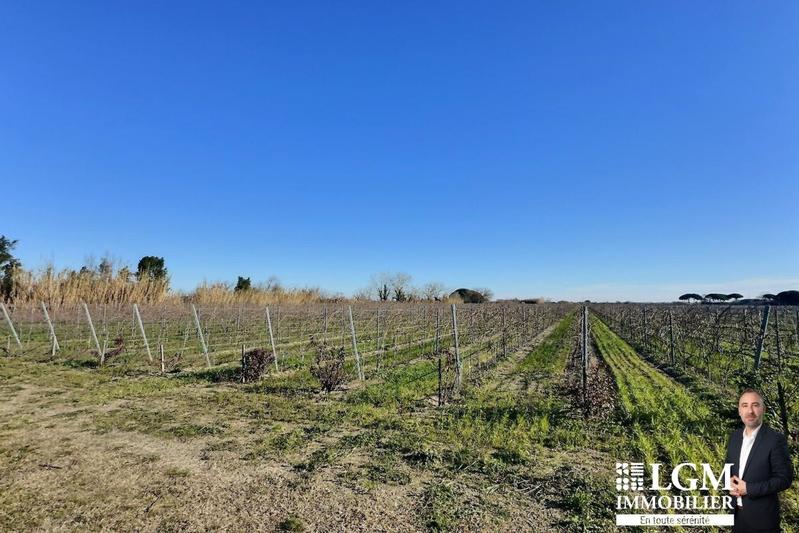 Mas - 280 m² - 8 pièces