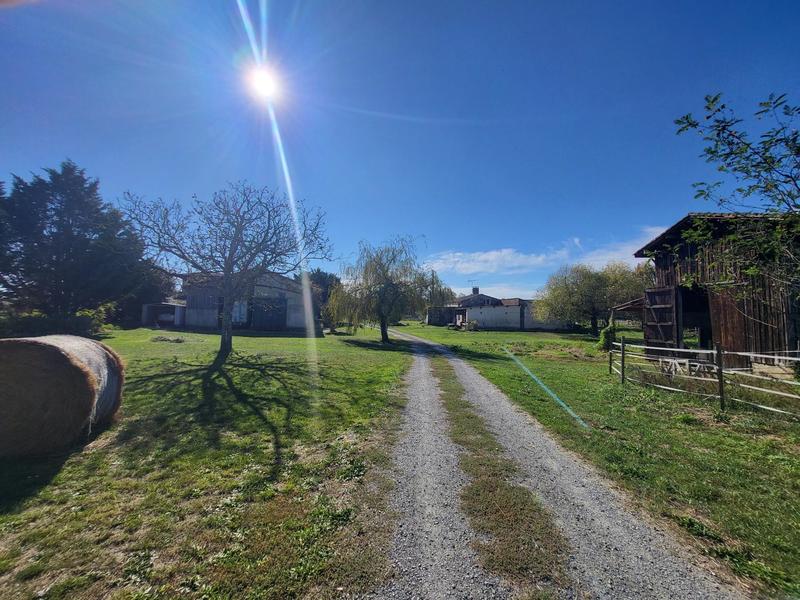 Maison - 335 m² - 14 pièces