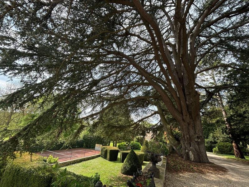 Manoir - 430 m² - 11 pièces