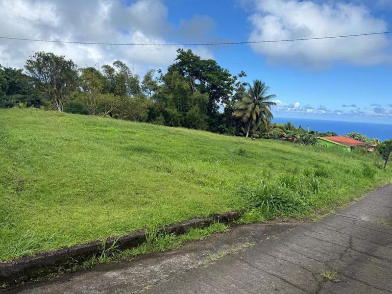 Terrain constructible - 1 389 m²