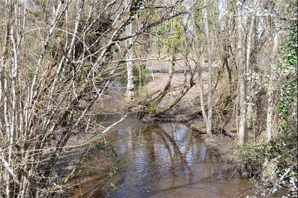 Terrain de loisirs - 22 000 m²