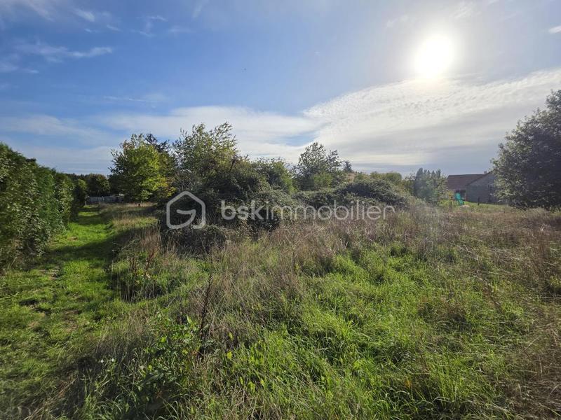 Terrain constructible - 1 831 m²