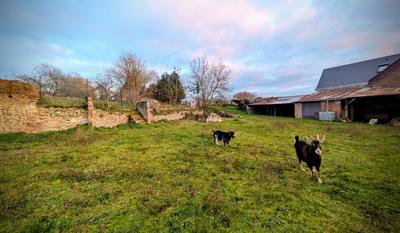 Terrain constructible - 1 337 m²