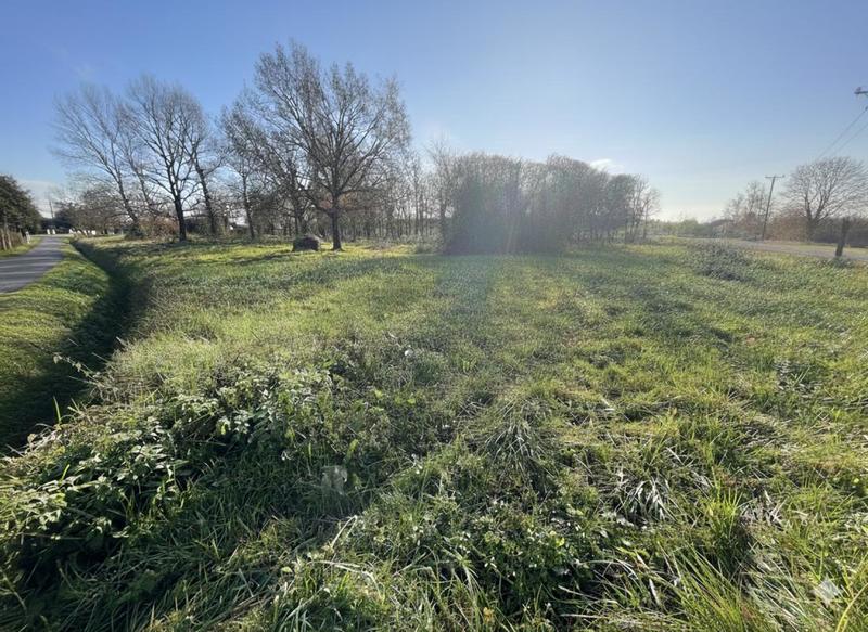 Terrain constructible - 1 645 m²