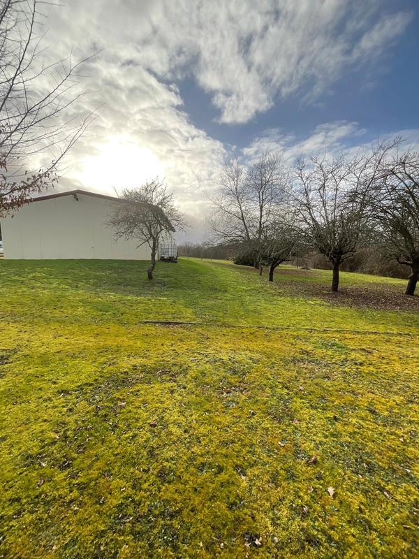 Local commercial - 150 m² - 2 pièces