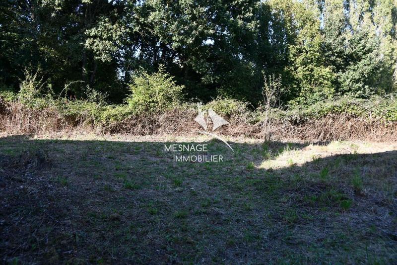 Maison en pierre - 110 m² - 5 pièces