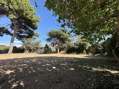 Terrain - 737 m²