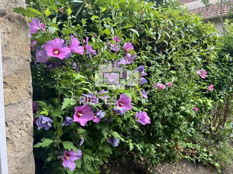 Maison - 200 m² - 7 pièces