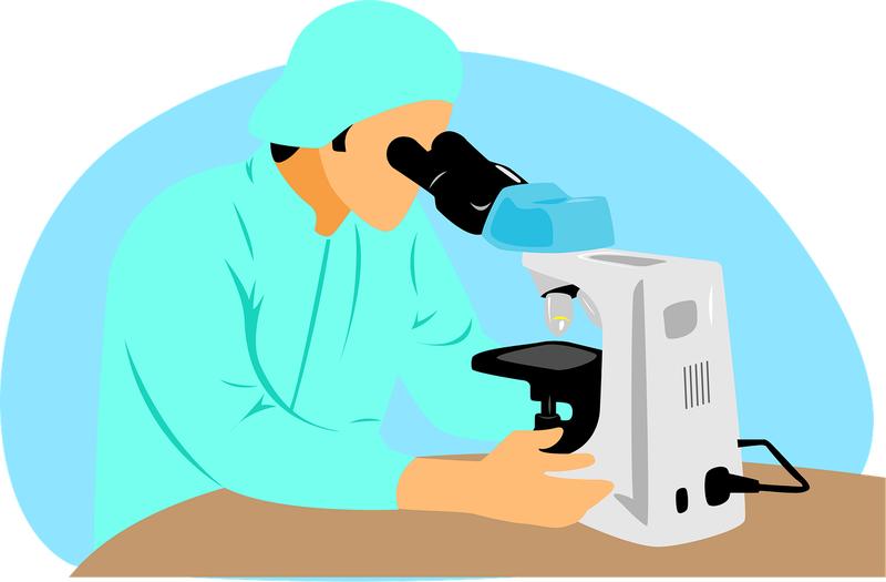 Mini-stage Sur les traces des dinosaures