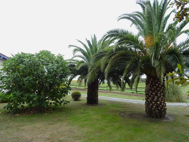 Maison - 251 m² - 8 pièces