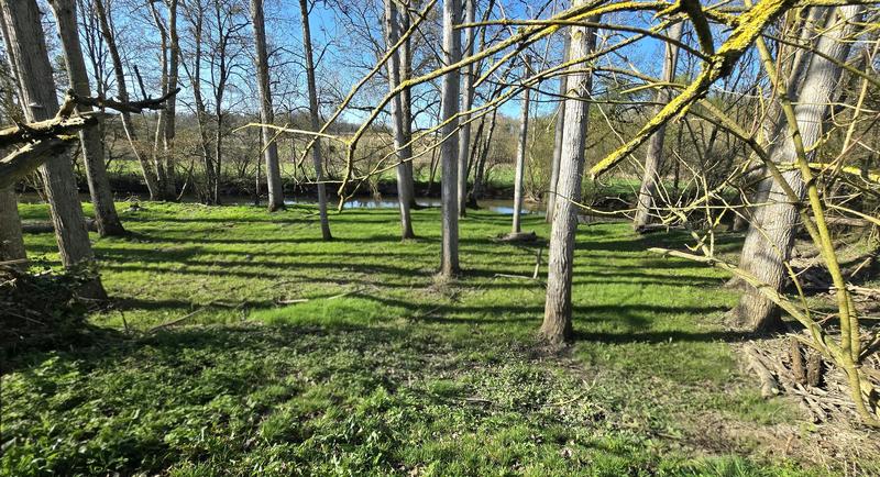 Maison ancienne - 58 m² - 3 pièces