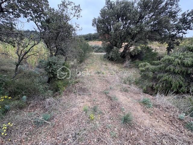 Terrain agricole - 10 160 m²