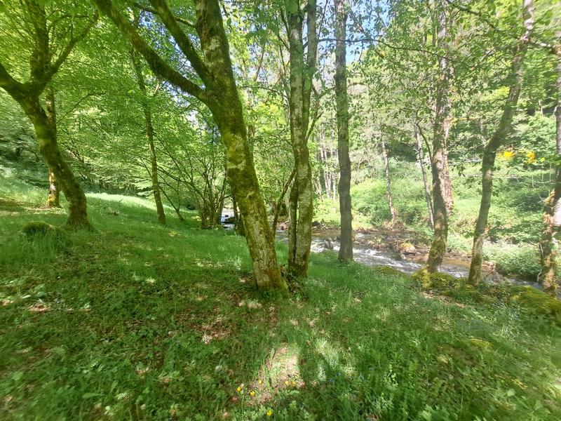 Moulin - 230 m² - 6 pièces