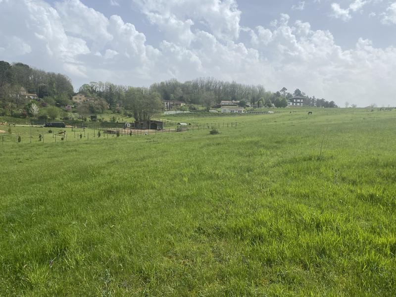 Terrain agricole - 3 299 m²