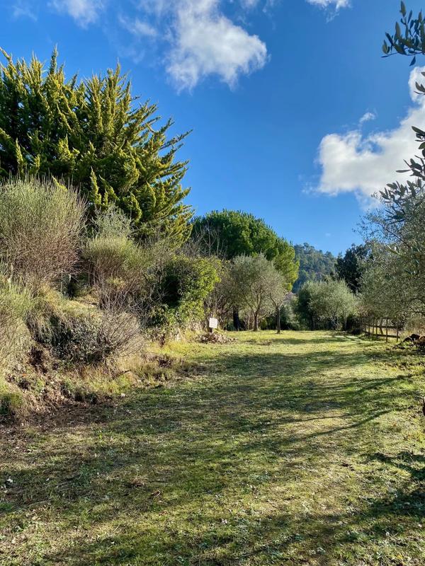 Terrain inconstructible - 2 400 m²