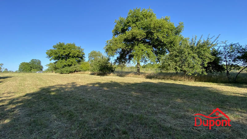 Terrain agricole - 10 000 m²