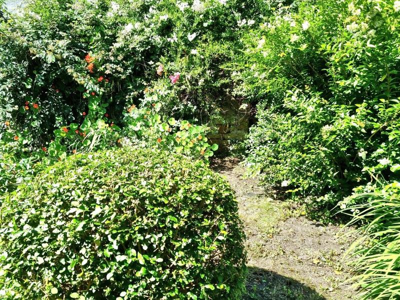 Maison ancienne - 166 m² - 6 pièces