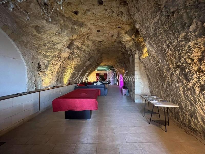 Propriété - 558 m² - 14 pièces