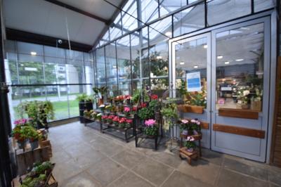 Fonds de commerce - Magasins - 220 m²