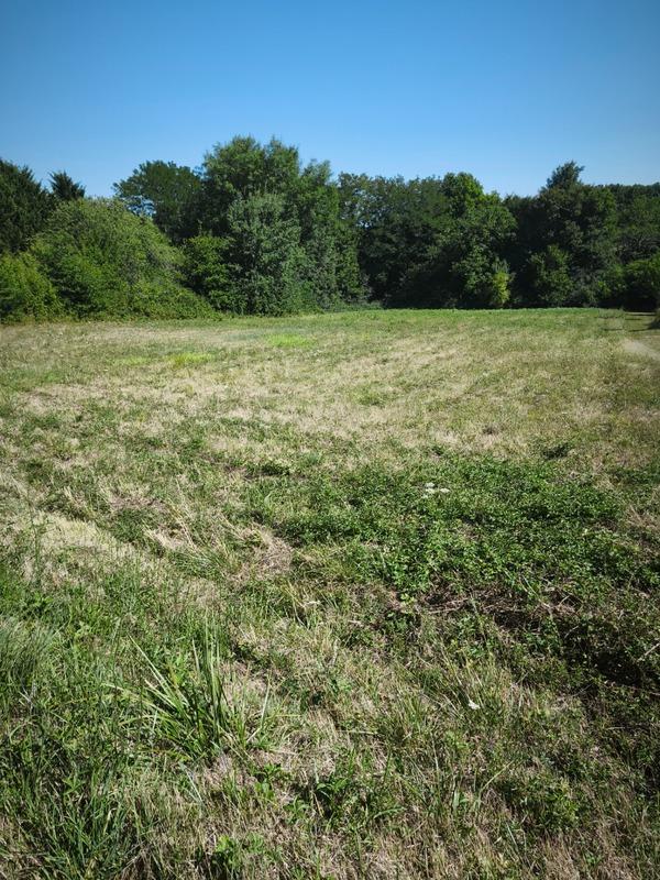 Terrain constructible - 2 728 m²