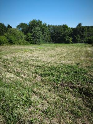 Terrain constructible - 2 728 m²