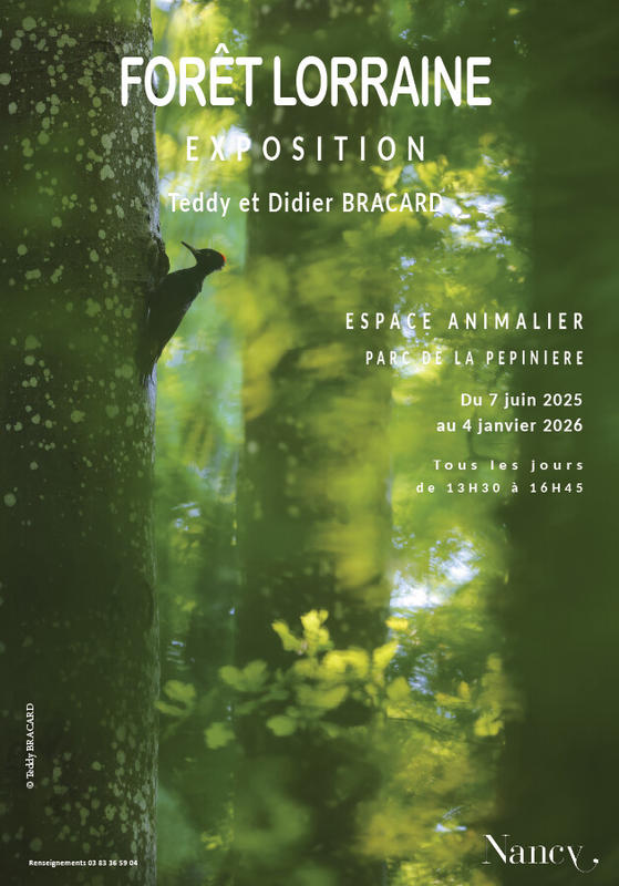Exposition - Forêt Lorraine