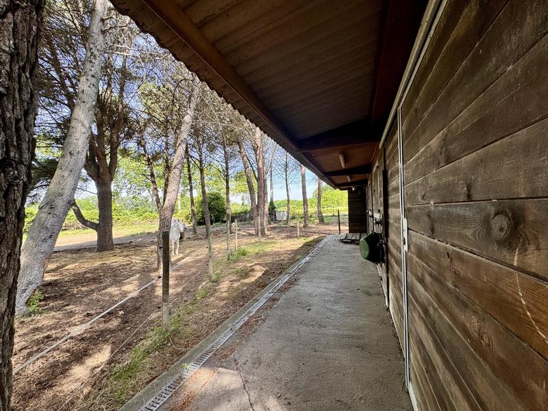 Villa - 294 m² - 7 pièces