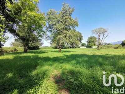 Maison - 550 m² - 16 pièces