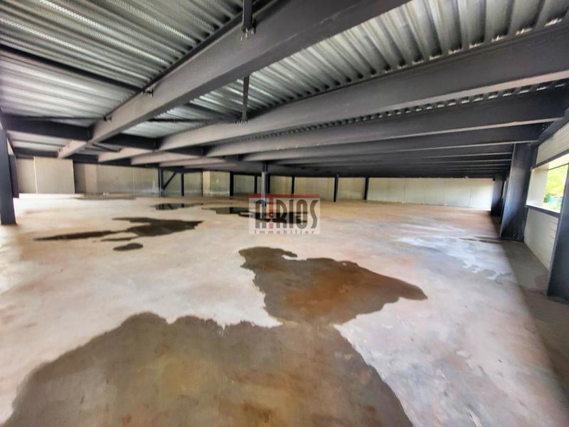 Entrepôt - 1 170 m²