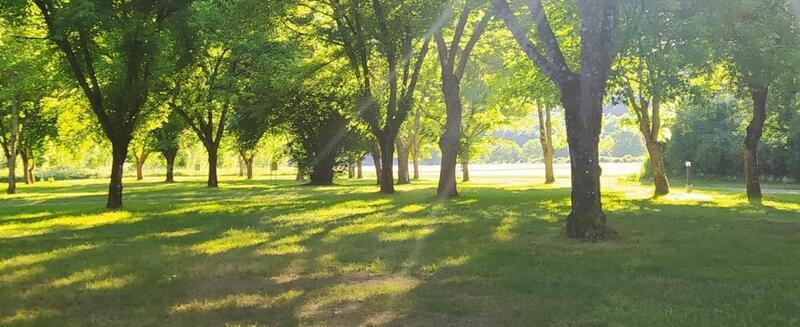 Brocante vide greniers