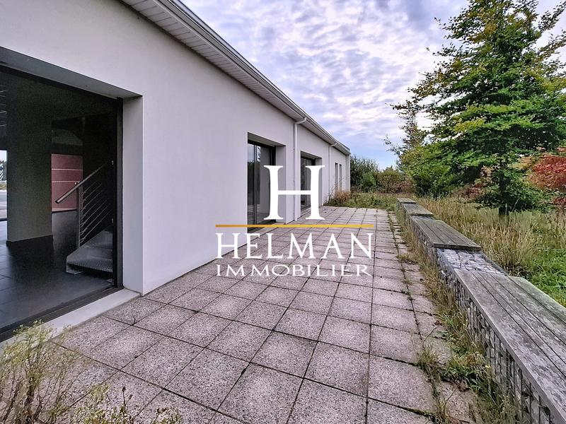 Bureau - 331 m² - 14 pièces