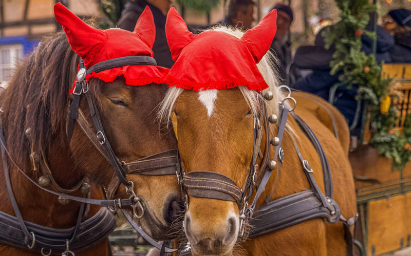 L'Écomusée d'Alsace fête Noël